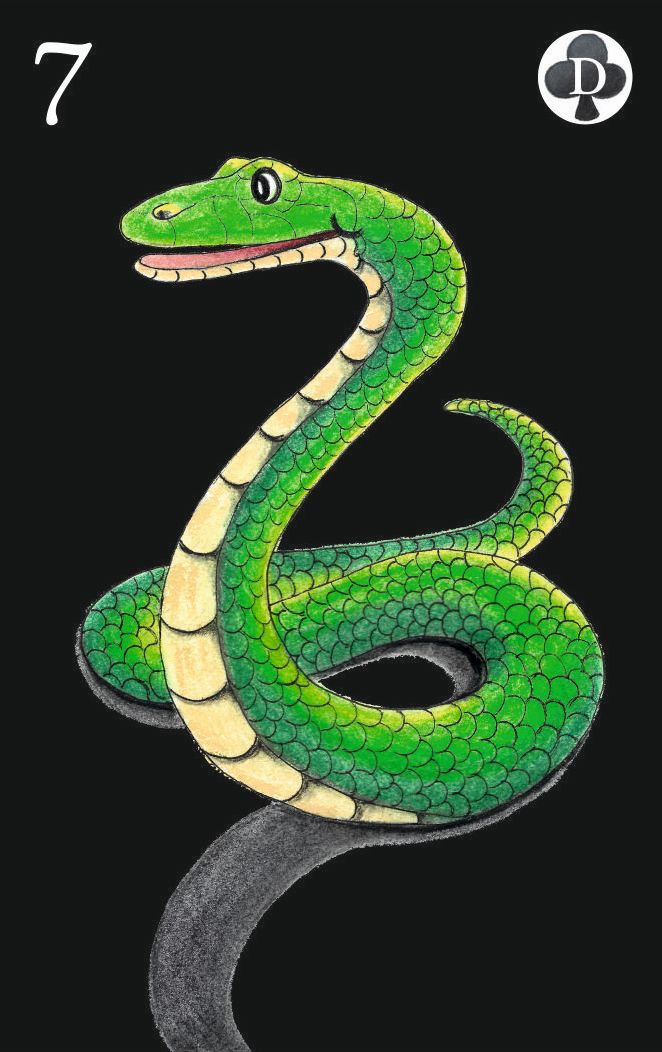 Nr. 7 - Die Schlange (schwarz)